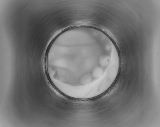 X0000110920941200907161516