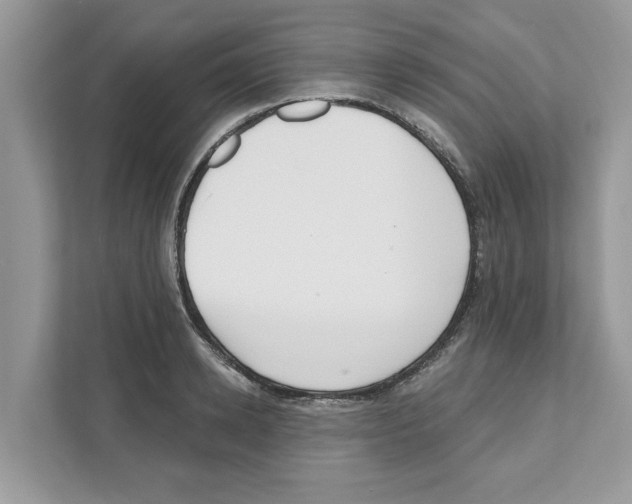 X0000110920942200907161516