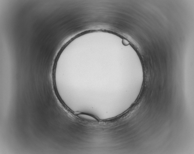 X0000110920943200907161516