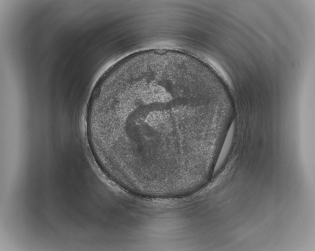 X0000110920944200907161516