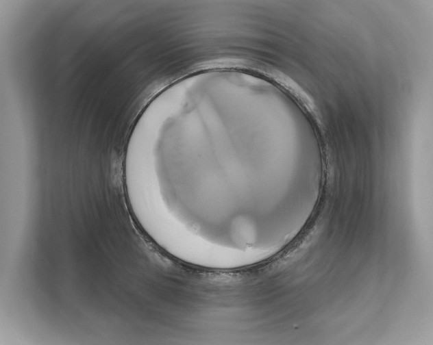 X0000110920945200907161516