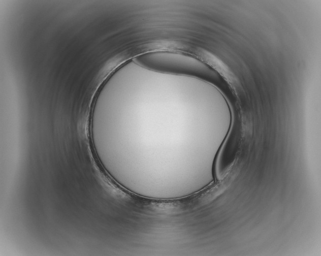 X0000110920946200907161516
