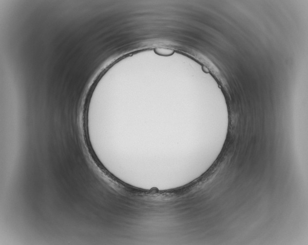 X0000110920947200907161516