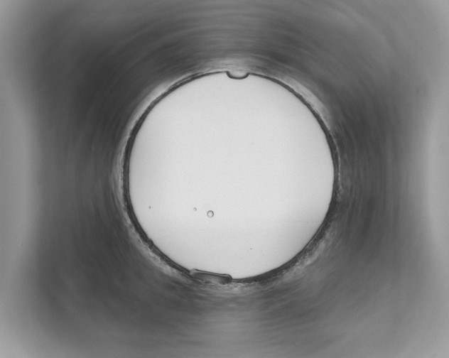 X0000110920949200907161516