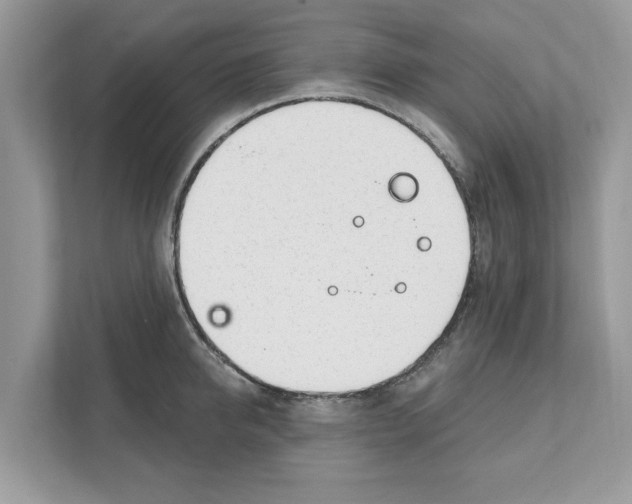 X0000110920950200907161516