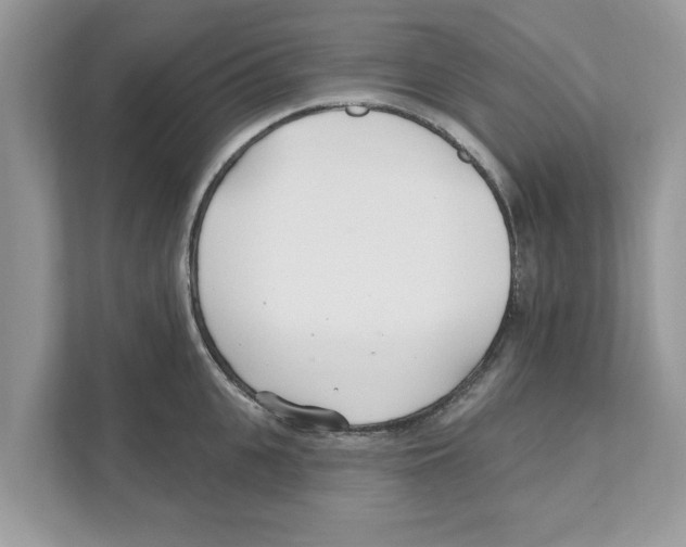 X0000110920951200907161516