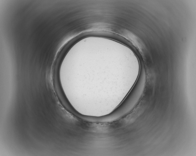 X0000110920952200907161516