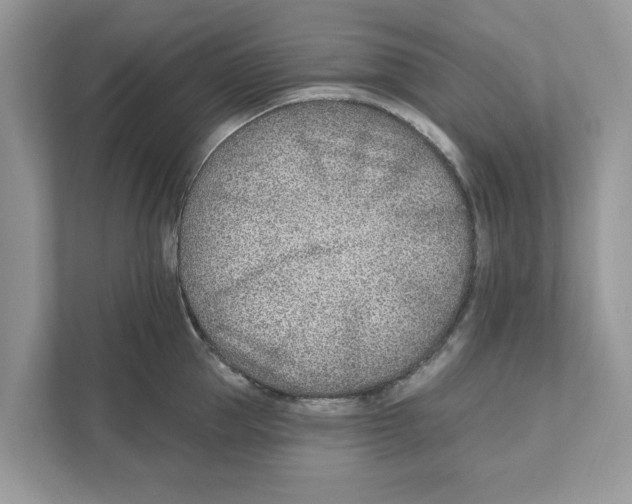 X0000110920953200907161516