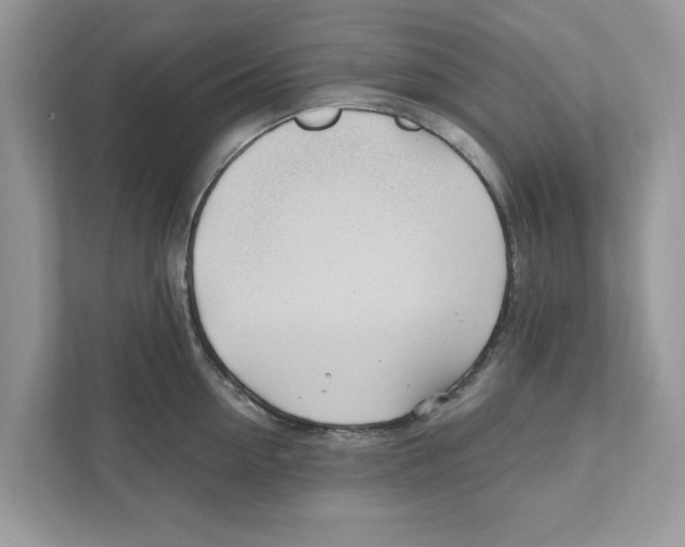 X0000110920954200907161516
