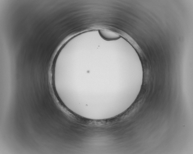 X0000110920955200907161516