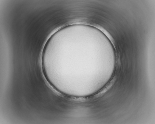 X0000110920957200907161516