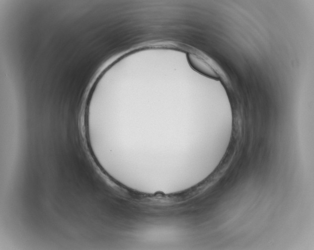 X0000110920959200907161516