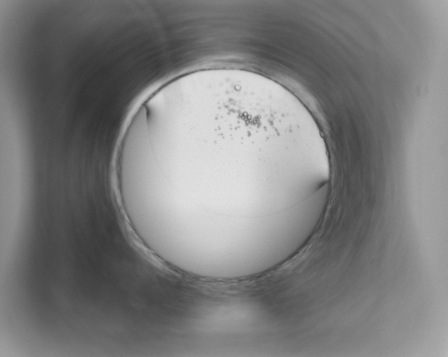 X0000110920960200907161516