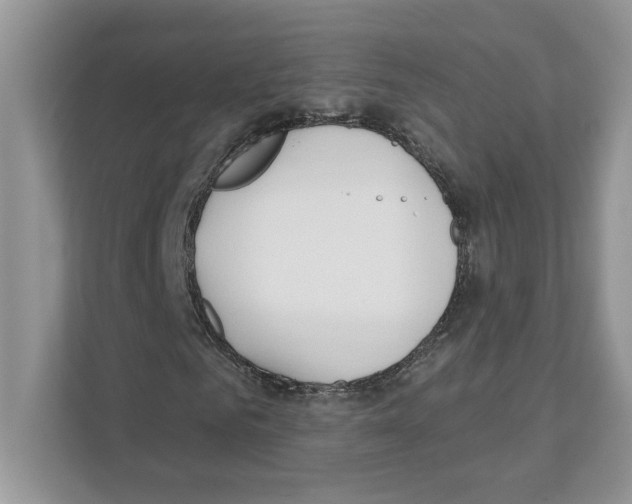 X0000110920961200907161516