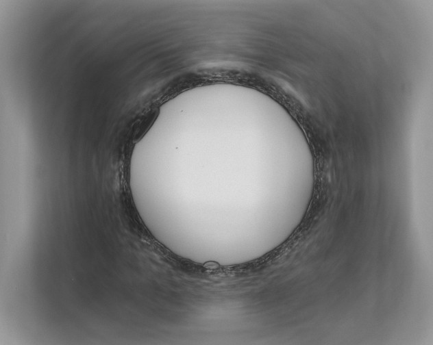 X0000110920965200907161516