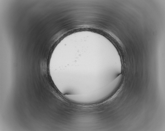 X0000110920969200907161516
