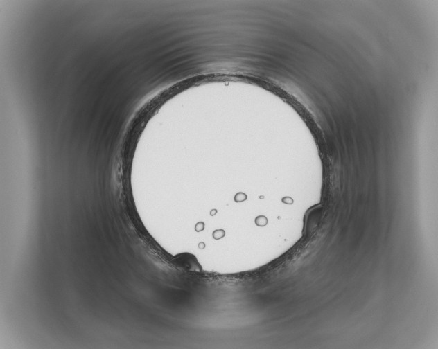 X0000110920971200907161516