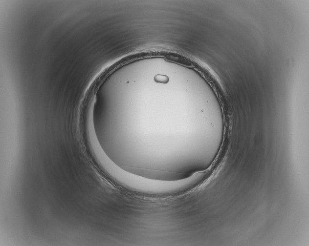 X0000110920973200907161515