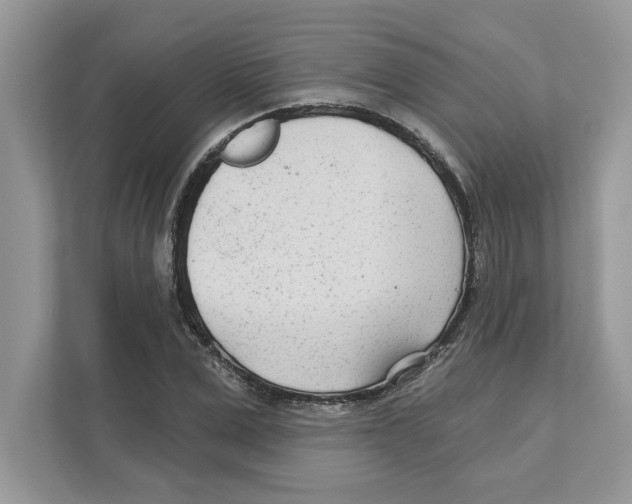 X0000110920975200907161515