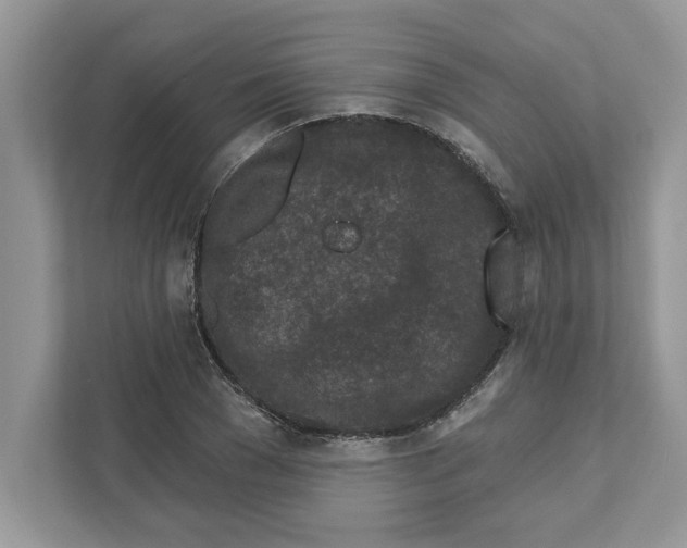 X0000110920977200907161515