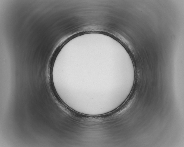X0000110920981200907161515