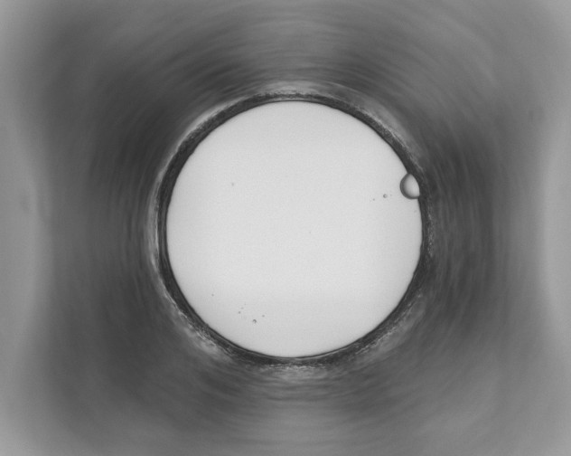 X0000110920984200907161515