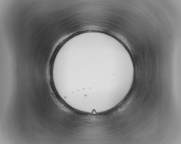 X0000110920987200907161515