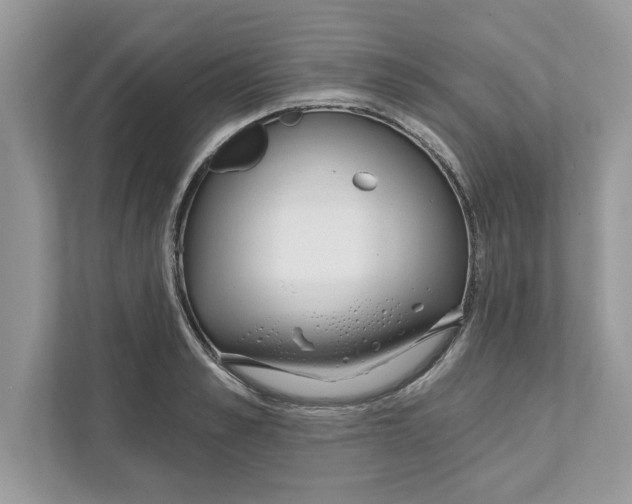 X0000110920989200907161515