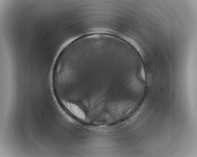 X0000110920995200907161515