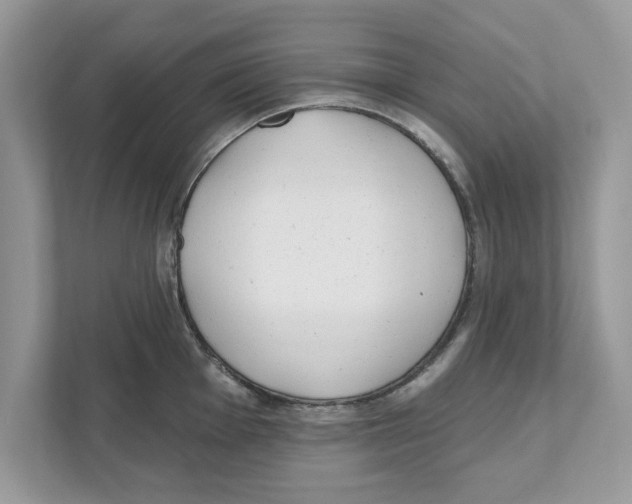 X0000110921001200907161515