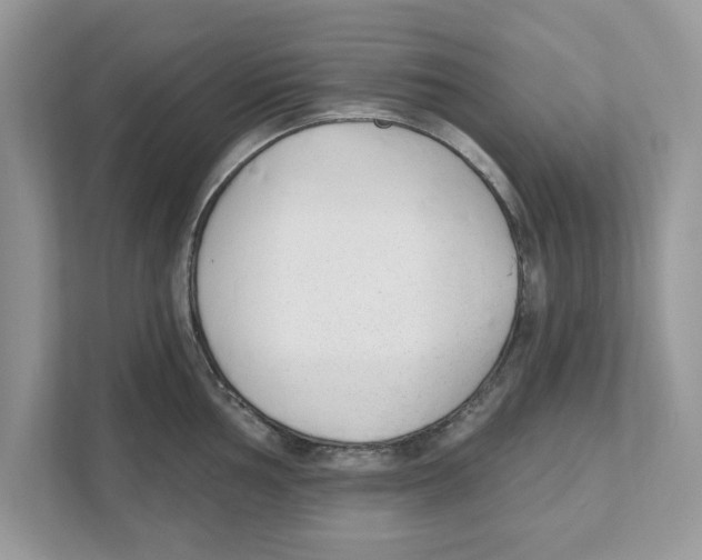 X0000110921002200907161515