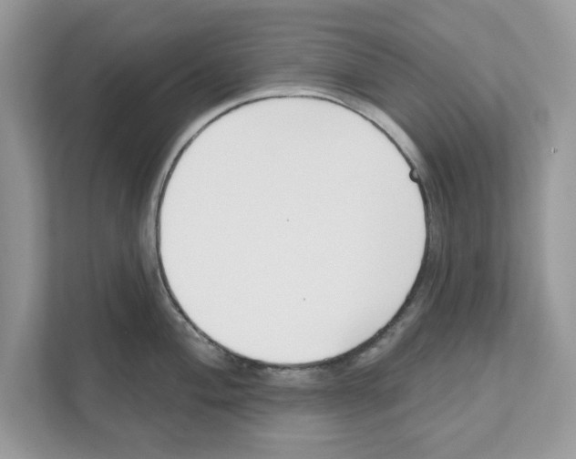 X0000110921004200907161515