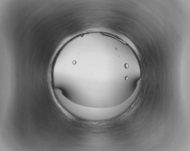 X0000110921005200907161515