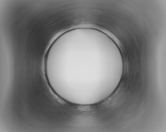 X0000110921006200907161515