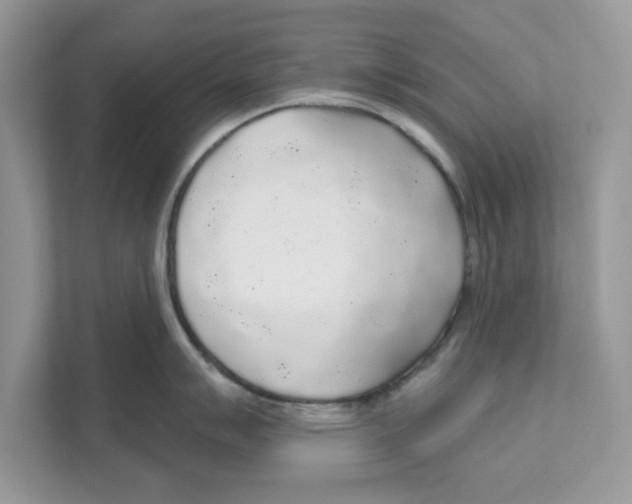 X0000110921007200907161515