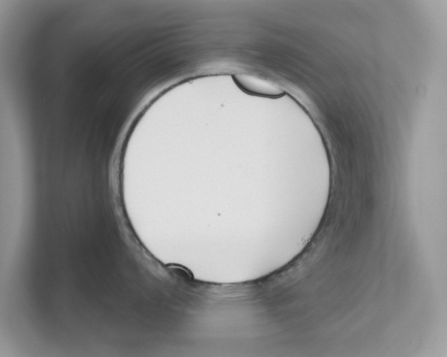 X0000110921008200907161515