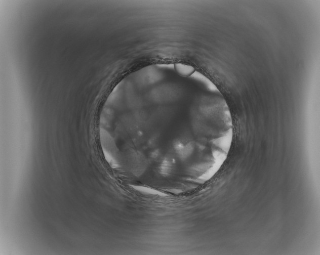X0000110921009200907161514
