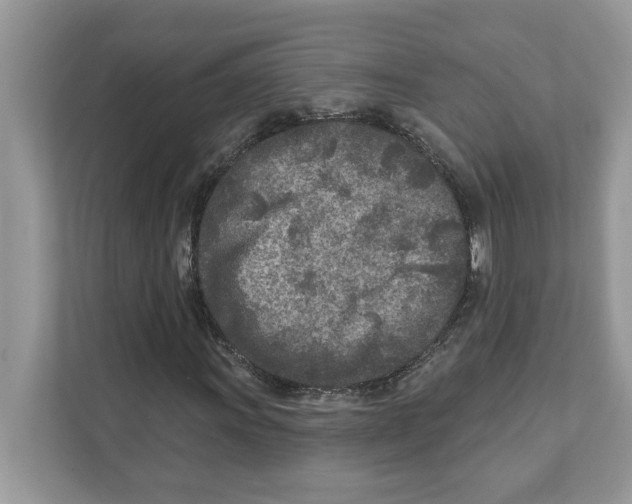 X0000110921011200907161514