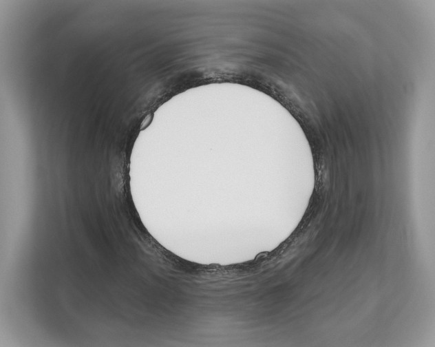 X0000110921012200907161514