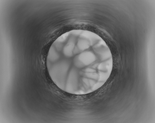 X0000110921013200907161514