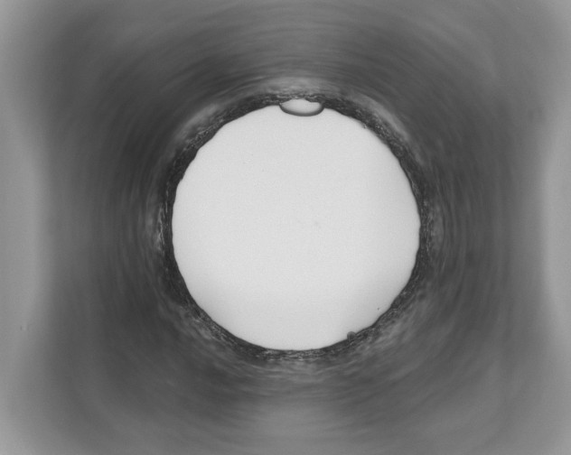 X0000110921016200907161515
