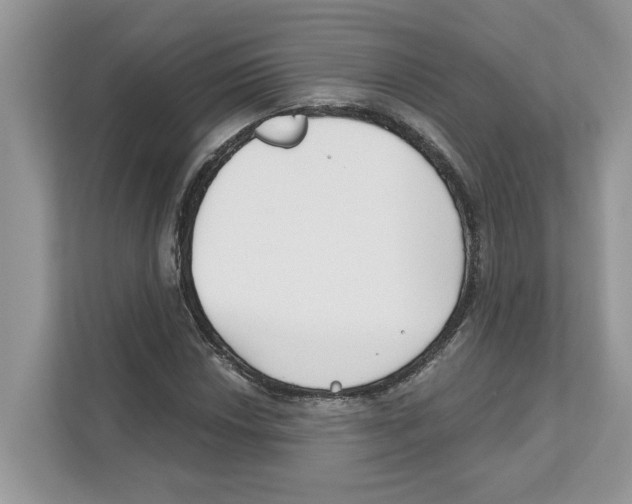 X0000110921018200907161515