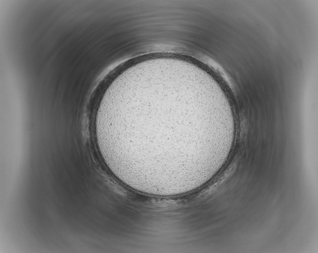 X0000110921019200907161515