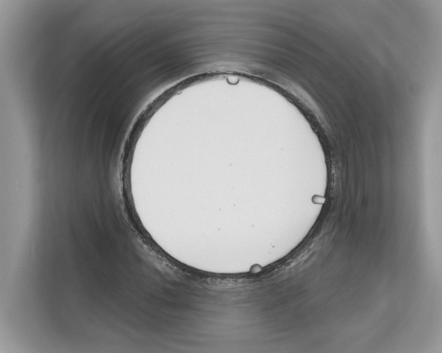 X0000110921020200907161515