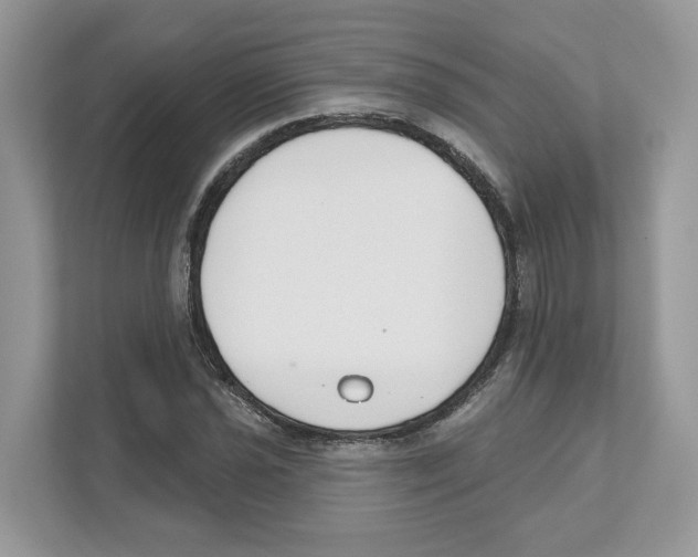 X0000110921021200907161515