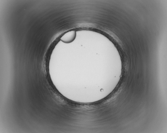 X0000110921022200907161515