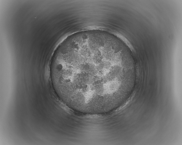 X0000110921023200907161515