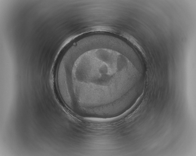 X0000110921024200907161515