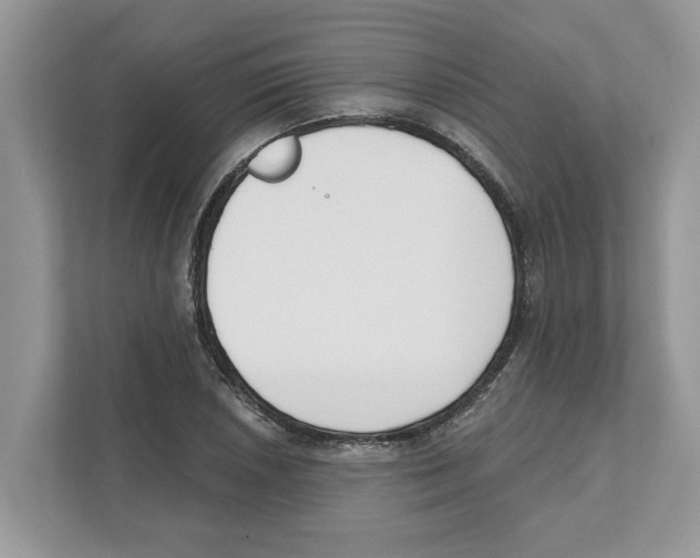 X0000110921026200907161515