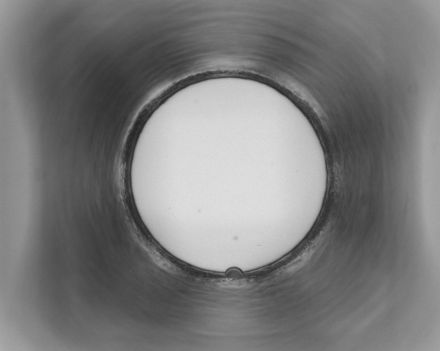 X0000110921029200907161515